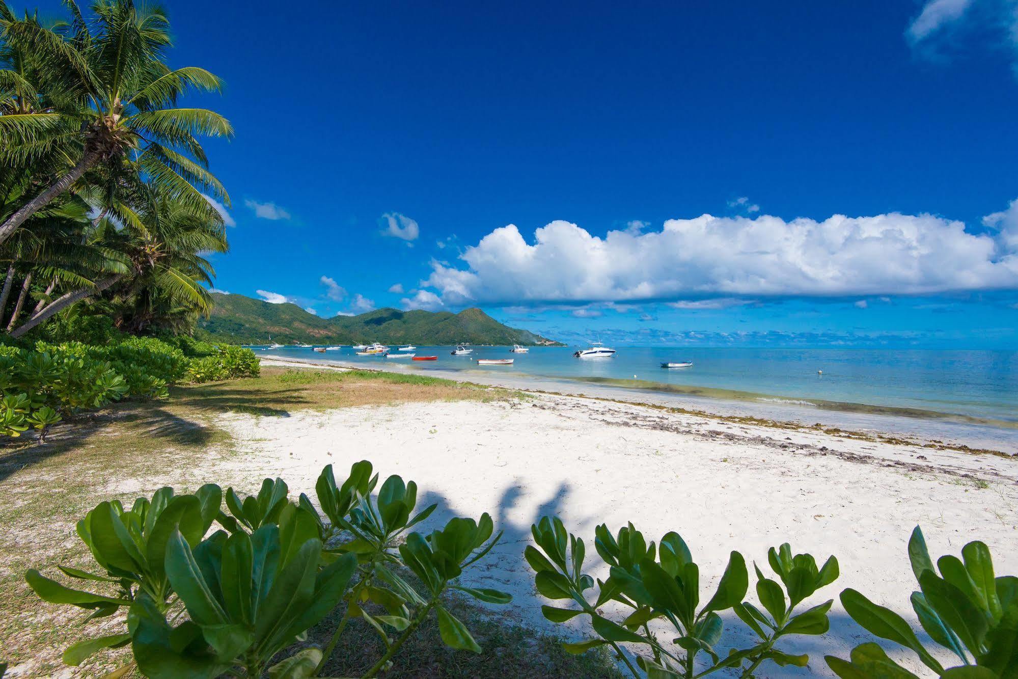 Le Tropique Villa (Adults Only) Grand Anse  Esterno foto